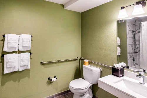 Quality Inn & Suites Plano - image 6