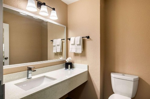 Quality Inn & Suites Plano - image 8