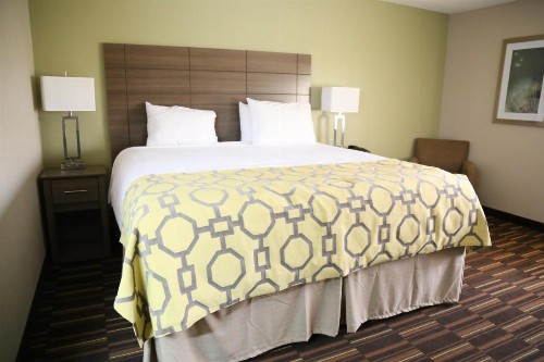 Baymont by Wyndham Plano - image 3