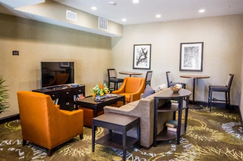 Staybridge Suites Plano - Legacy West Area an IHG Hotel - image 11