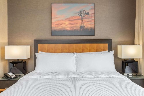 Cambria Hotel Plano - Frisco - image 26