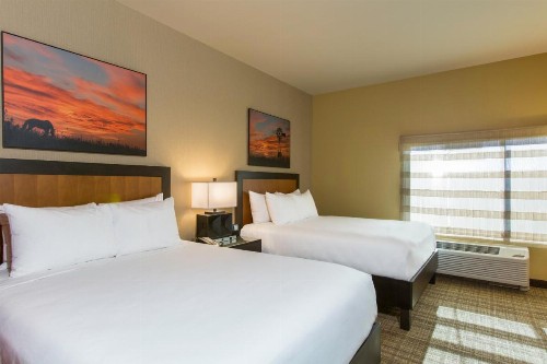 Cambria Hotel Plano - Frisco - image 40