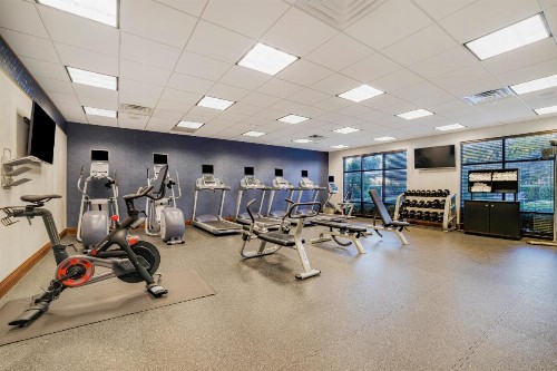 Hampton Inn & Suites Dallas/Plano-East - image 48