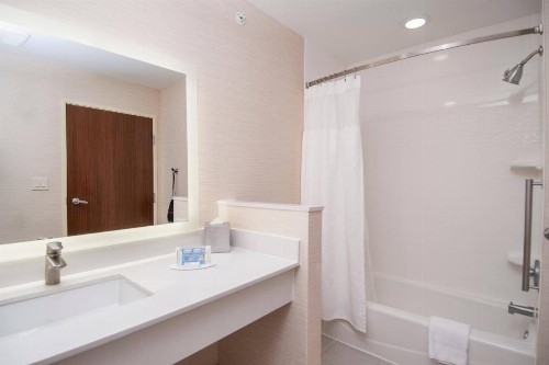 Fairfield Inn & Suites by Marriott Dallas Plano North - image 16