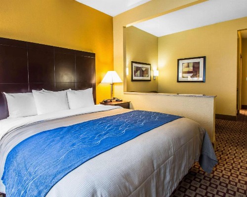 Comfort Inn Plant City - Lakeland - image 19