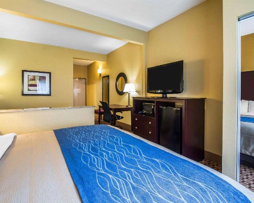 Comfort Inn Plant City - Lakeland - image 21