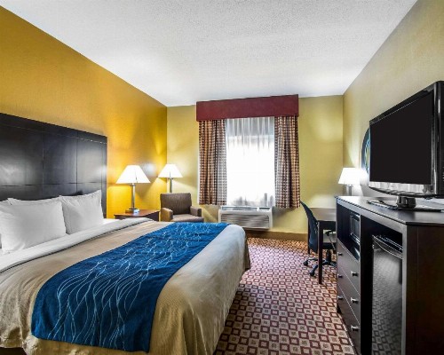 Comfort Inn Plant City - Lakeland - image 23