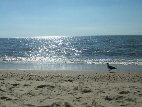 Boardwalk Beach Inn - image 14