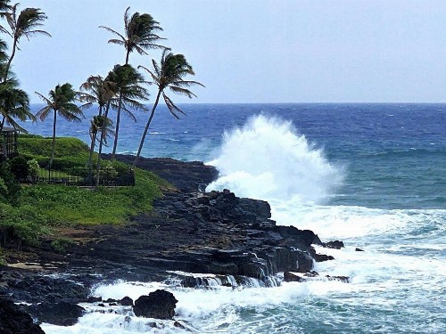 Castle Poipu Shores - image 28