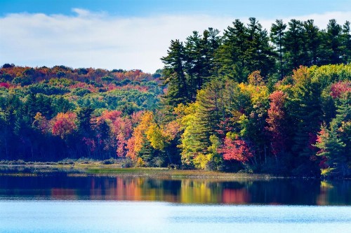 Wolf Cove Inn - image 10