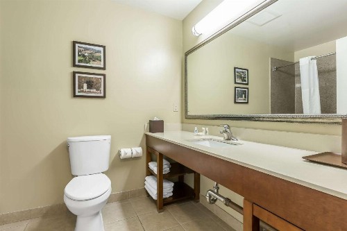 Comfort Inn Pomona Near FairPlex - image 18