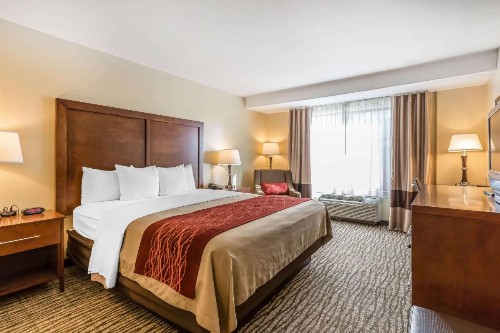 Comfort Inn Pomona Near FairPlex - image 20
