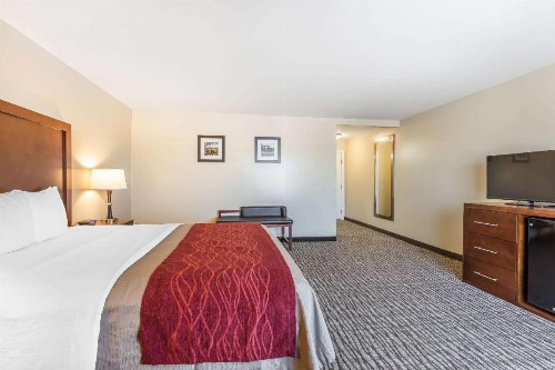 Comfort Inn Pomona Near FairPlex - image 23