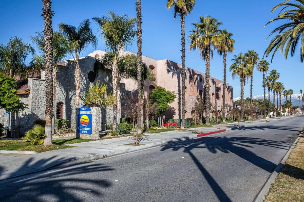 Comfort Inn Pomona Near FairPlex - image 3