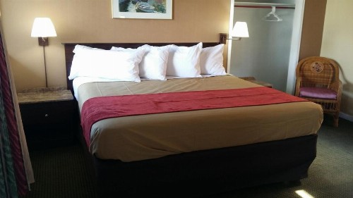The Palms On Ocean - image 21