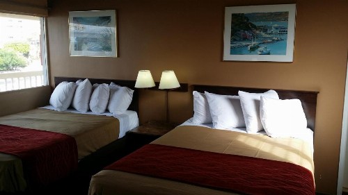 The Palms On Ocean - image 31