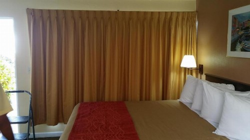 The Palms On Ocean - image 40