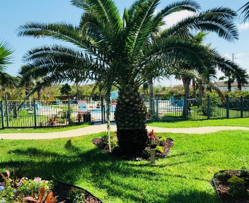 Days Inn by Wyndham Port Aransas TX - image 8
