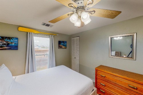 Royal Palm - image 10