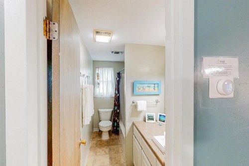 Royal Palm - image 11