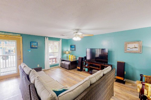 Royal Palm - image 3