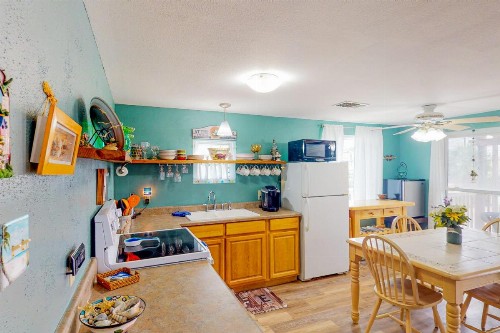Royal Palm - image 4