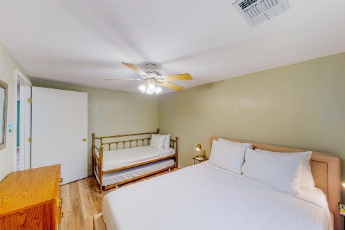 Royal Palm - image 6