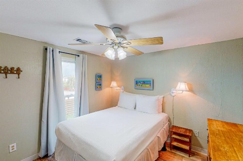 Royal Palm - image 7