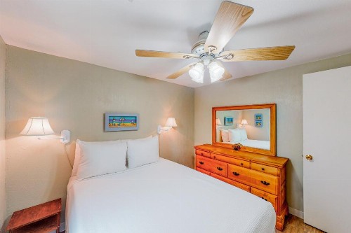 Royal Palm - image 8