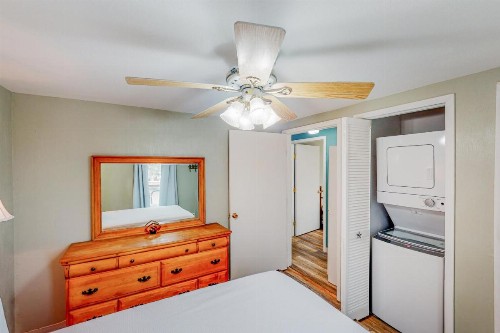 Royal Palm - image 9
