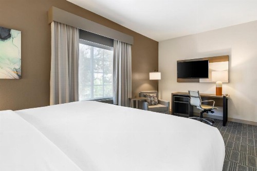 Comfort Inn & Suites - image 33
