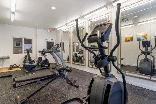 Comfort Inn & Suites - image 5