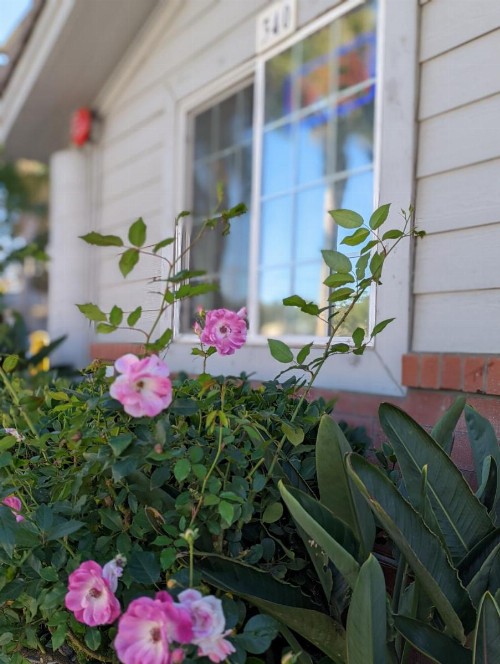 Americas Best Value Inn Oxnard-Port Hueneme - image 46