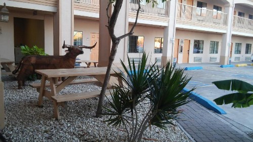 Casa Rosa Inn - image 15