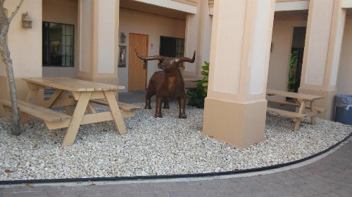 Casa Rosa Inn - image 8