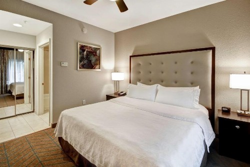 Homewood Suites by Hilton Tampa-Port Richey - image 27
