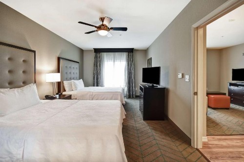 Homewood Suites by Hilton Tampa-Port Richey - image 37