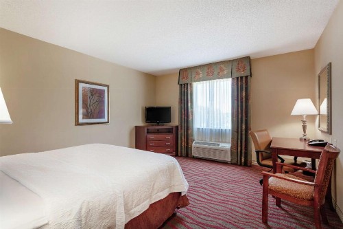 Hampton Inn & Suites Port Richey - image 16