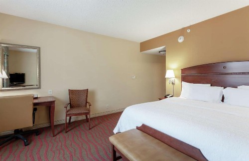 Hampton Inn & Suites Port Richey - image 4