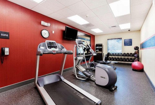 Hampton Inn & Suites Port Richey - image 6