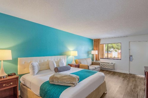 Rodeway Inn Port Richey North - image 18