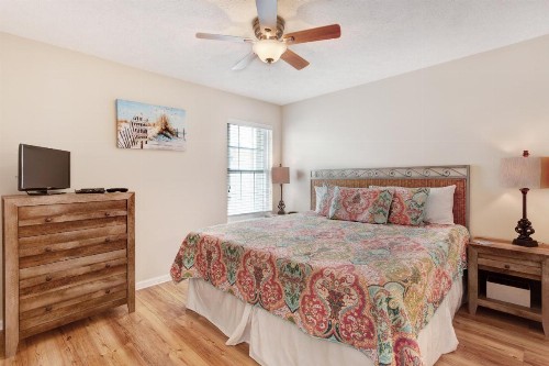 Sonshine Oasis - image 6