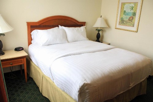 Holiday Inn Port St. Lucie an IHG Hotel - image 11