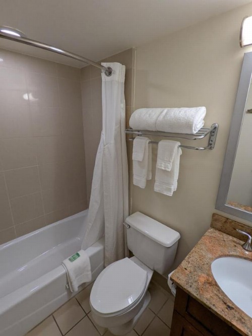 Holiday Inn Port St. Lucie an IHG Hotel - image 6