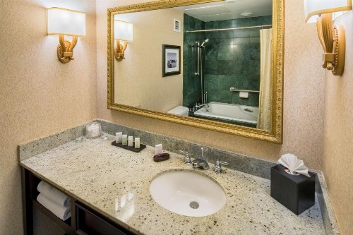 Embassy Suites Portland - Downtown - image 15