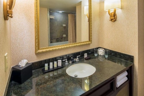 Embassy Suites Portland - Downtown - image 18