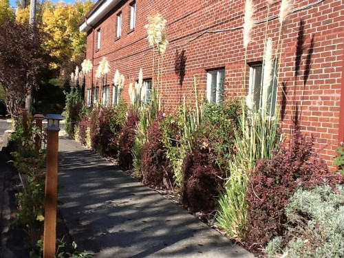 Portland Pensione - image 3