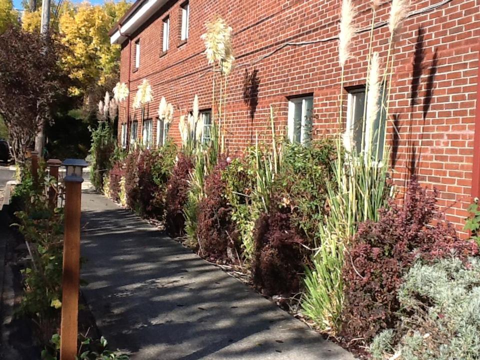 Portland Pensione - image 3