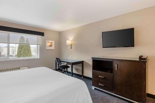 Best Western Inn at the Meadows - image 19