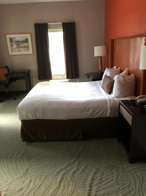 Downtown Value Inn - image 15